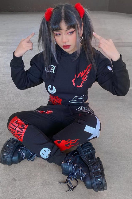 Twisted Apparel Flame Mashup Cropped Hoody