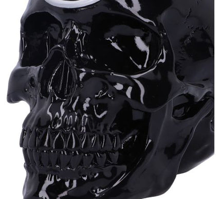 Black Magic Skull 19.5cm