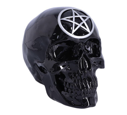 Black Magic Skull 19.5cm