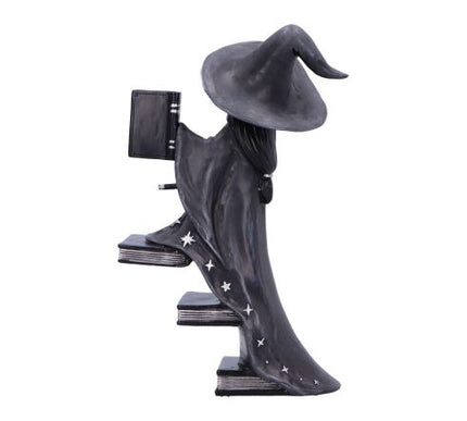 Little Souls Luna Witch with Books Figurine 15cm