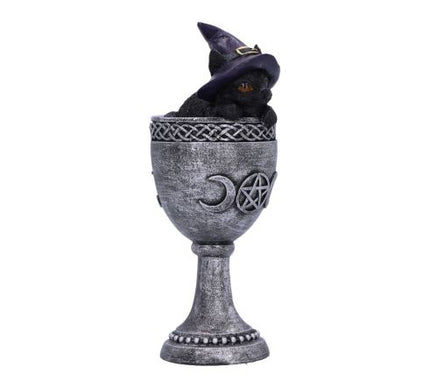 Coven Cup Black Cat Ornament 15.7cm