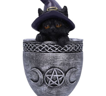 Coven Cup Black Cat Ornament 15.7cm